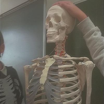 Дрозд