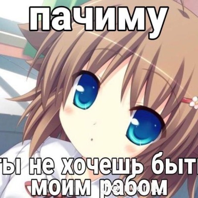Везде шлюхи