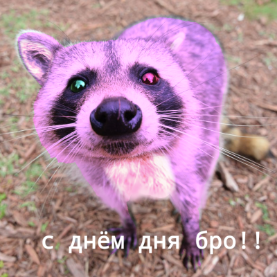 YukoKosfer