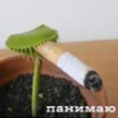 Жидкое мыло