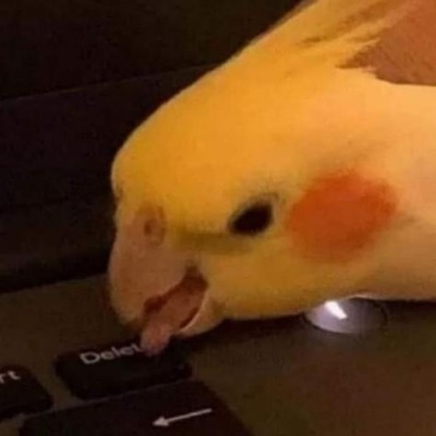Меня зовут яойщицей