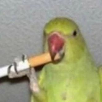 millkiaydillki