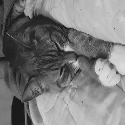 Коттмак