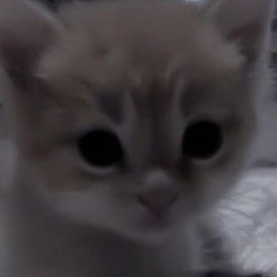 люблю нежные тортики