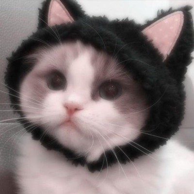 0hellokittyo