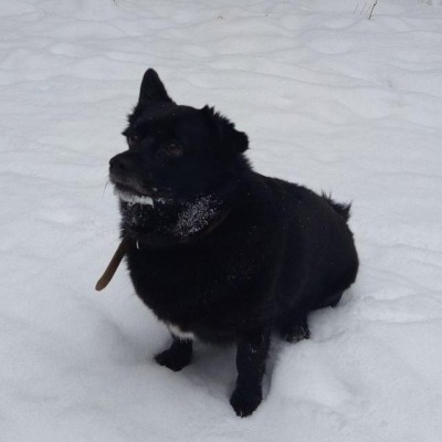 На.Гём