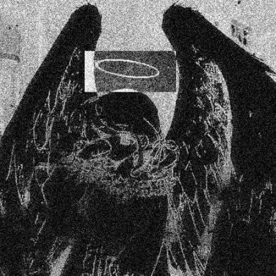 amalia66613