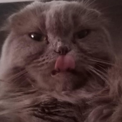 YAOICHISA666