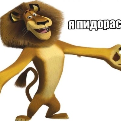книжный член