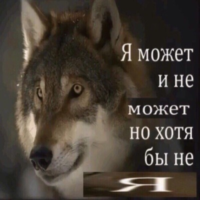 Негапьйо нэ