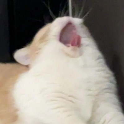 Sobachonka