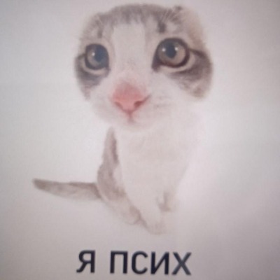 Я ВАС НА ХУЮ ВЕРТЕЛ