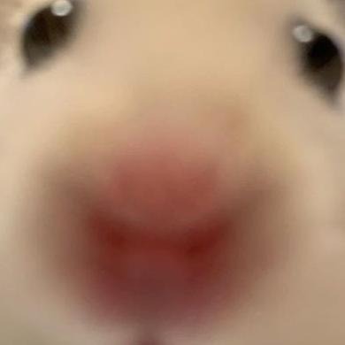 Да блять кто я сука