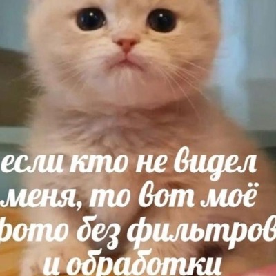 Yocarnibabay333