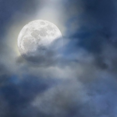 Mooncat