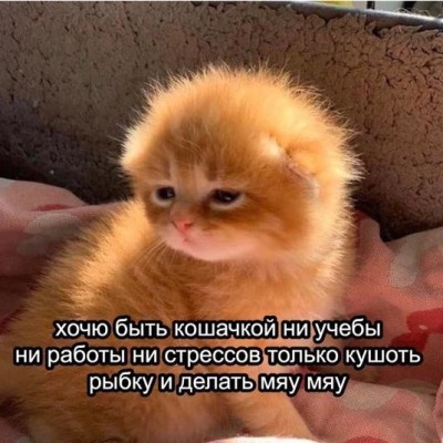 аэрозоль