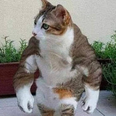 Я самый культурный