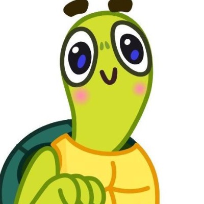 Cozy turtle