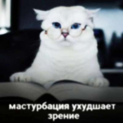 Please wait