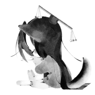 Jin Kim