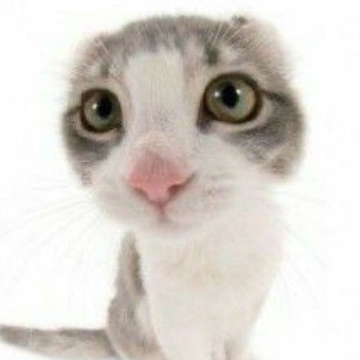 eilfwee