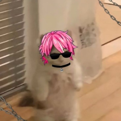 tupitcat