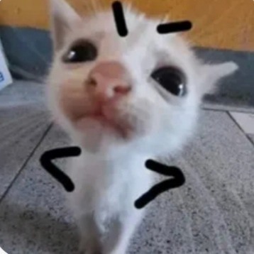 Злой_котик