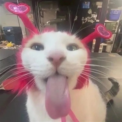 sahahaso