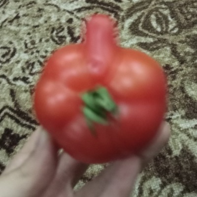 Фундук в тартарары
