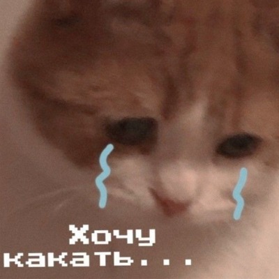 Пуси эссссс