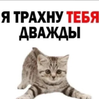 Киска679