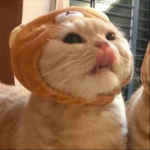 НЕKTO