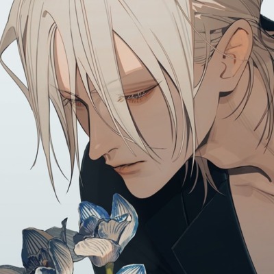 didaisy