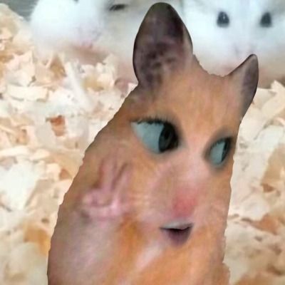 ВизгЯойщицы
