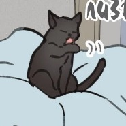 Котю лав