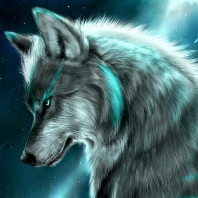 TheLoneWolfDi