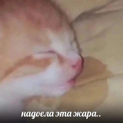 Лучииик
