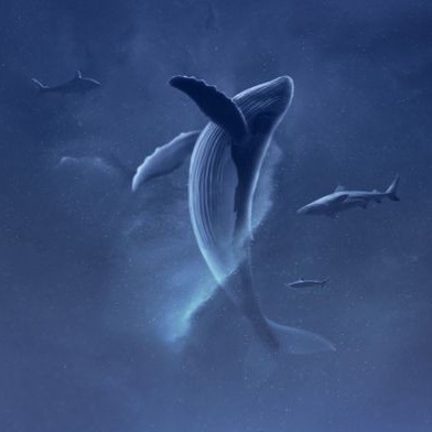 morozovamaria743