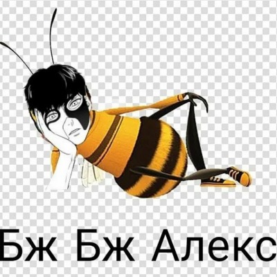 Яойщица всея руси