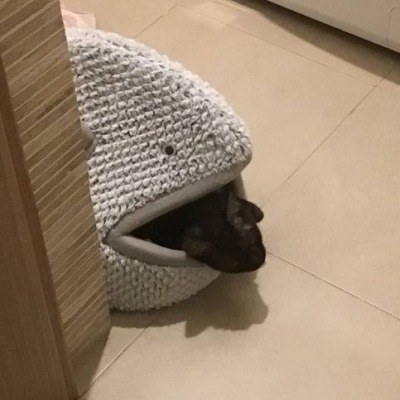 Мама_святое