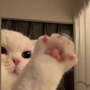 Лох_ня