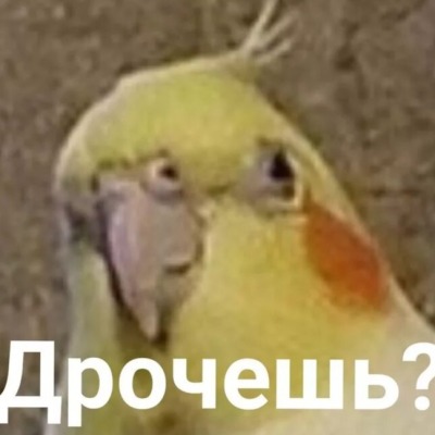 Pizдец