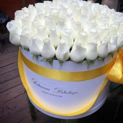 esamin721