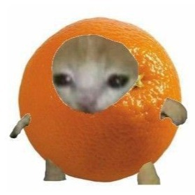 Мудрый апельсин