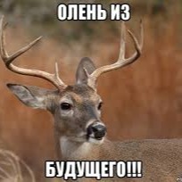 Олень из будущего