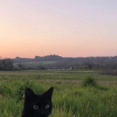 клоун хихи