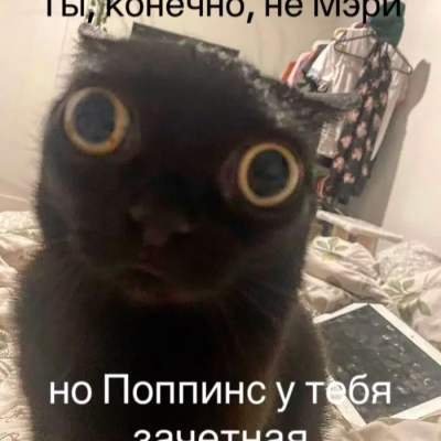 Я ебал вас