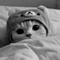 imdead