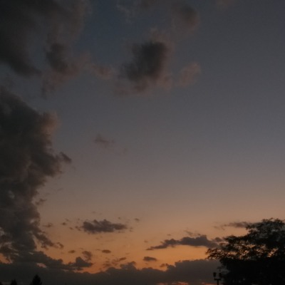 Elyria