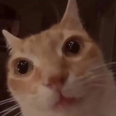 Классная попка